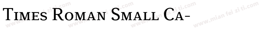 Times Roman Small Ca字体转换